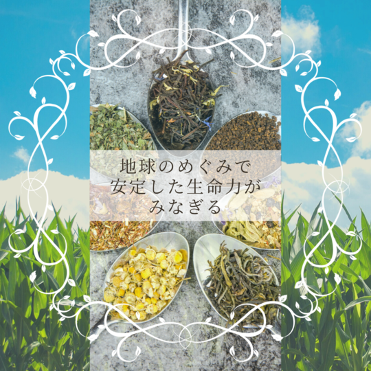 地球のハーブティー